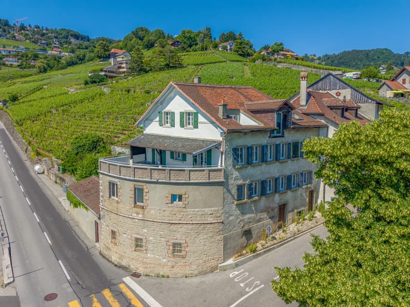 Ensemble historique à réinventer au coeur du Lavaux (5)