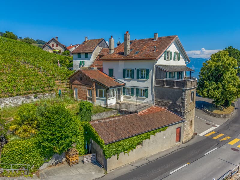 Ensemble historique à réinventer au coeur du Lavaux (4)
