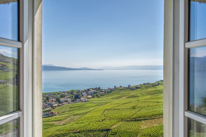 Ensemble historique à réinventer au coeur du Lavaux (1)