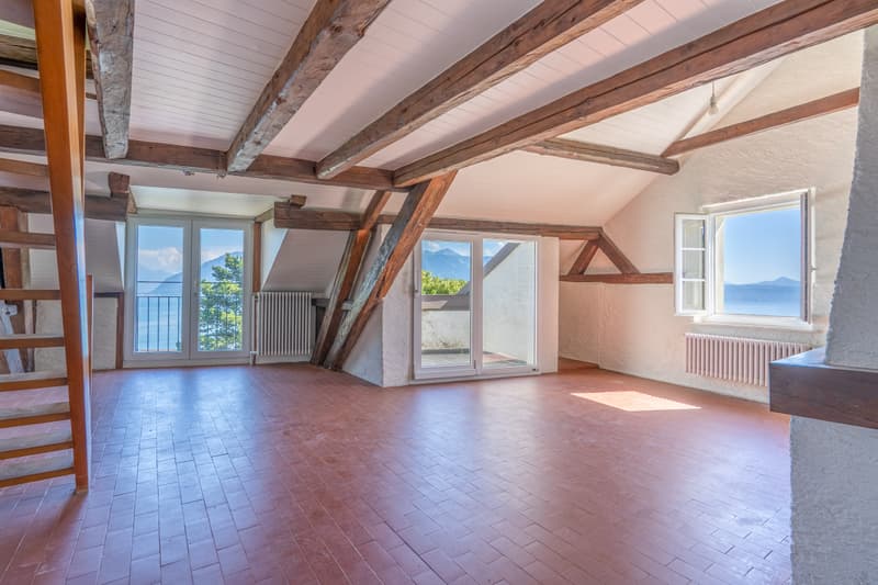 Ensemble historique à réinventer au coeur du Lavaux (13)