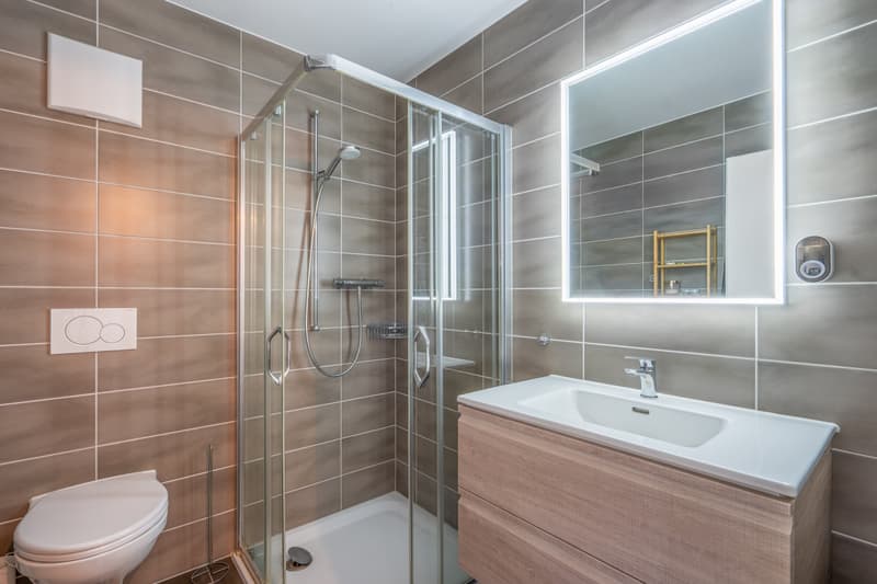 Lumière, espace et confort au coeur de Chavornay! (4)