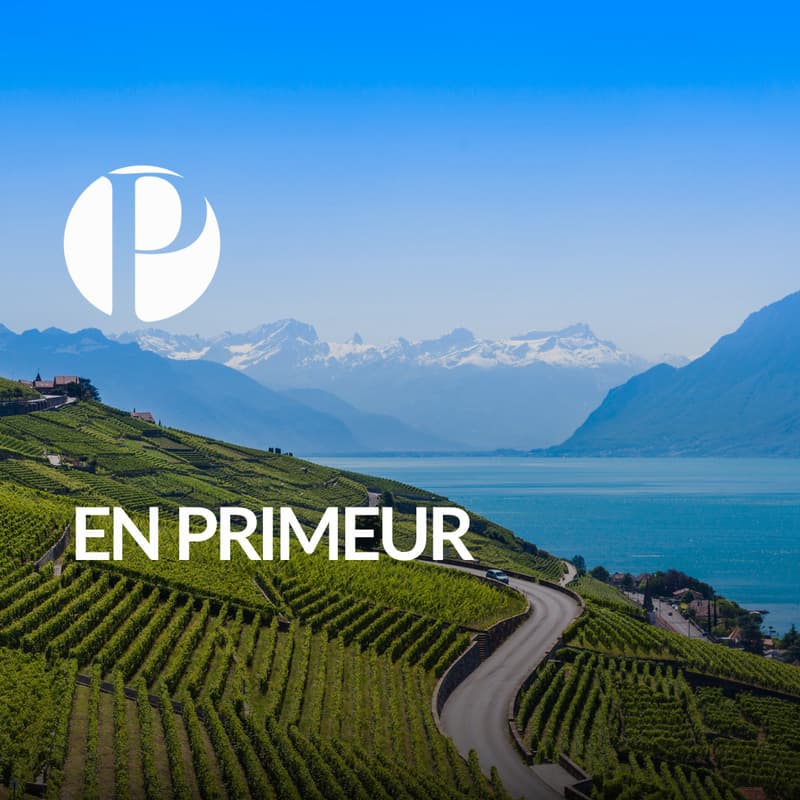 LUXUEUSE PROPRIÉTÉ AVEC LE LAC COMME HORIZON (1)