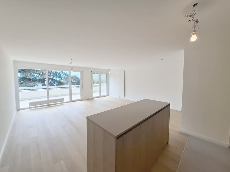Exclusivité PROXIMMO ! Appartement d'exception entièrement refait à neuf ! (11)