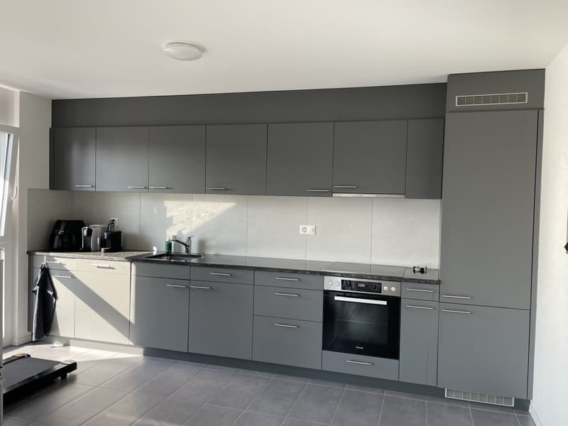 MAGNIFIQUE APPARTEMENT AVEC BALCON À 200M DU LAC (3)