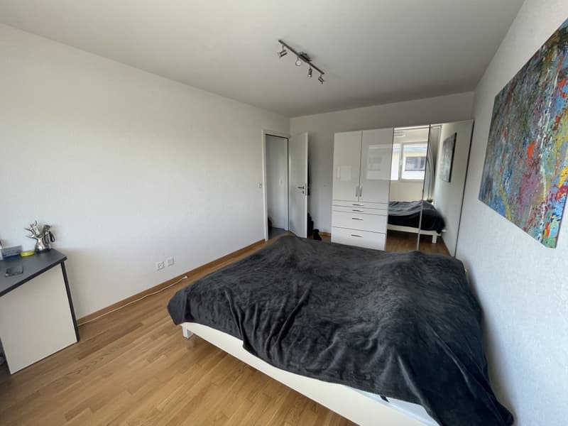 MAGNIFIQUE APPARTEMENT AVEC BALCON À 200M DU LAC (6)