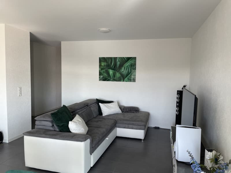 MAGNIFIQUE APPARTEMENT AVEC BALCON À 200M DU LAC (4)