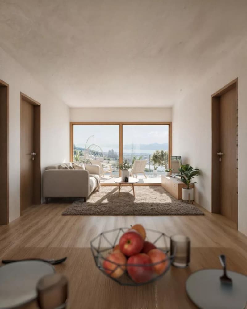 APPARTEMENT-TERRASSE AVEC VUE PLONGEANTE SUR LE LAC ! (3)