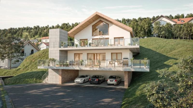 APPARTEMENT-TERRASSE AVEC VUE PLONGEANTE SUR LE LAC ! (2)