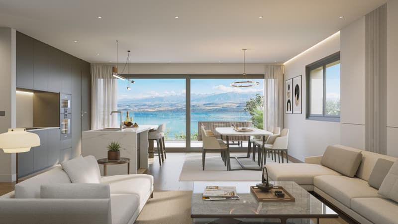 6 MAISONS NEUVES A VILLARS-BURQUIN AVEC VUE PLONGEANTE SUR LE LAC ! (2)