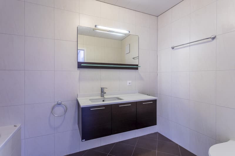 VILLA 5,5 PIECES A CHAVORNAY DISPONIBLE IMMEDIATEMENT ! (9)