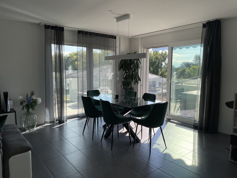 MAGNIFIQUE APPARTEMENT AVEC BALCON À 200M DU LAC (2)