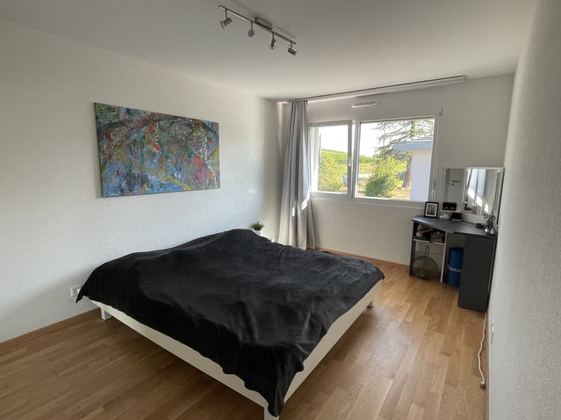 MAGNIFIQUE APPARTEMENT AVEC BALCON À 200M DU LAC (5)
