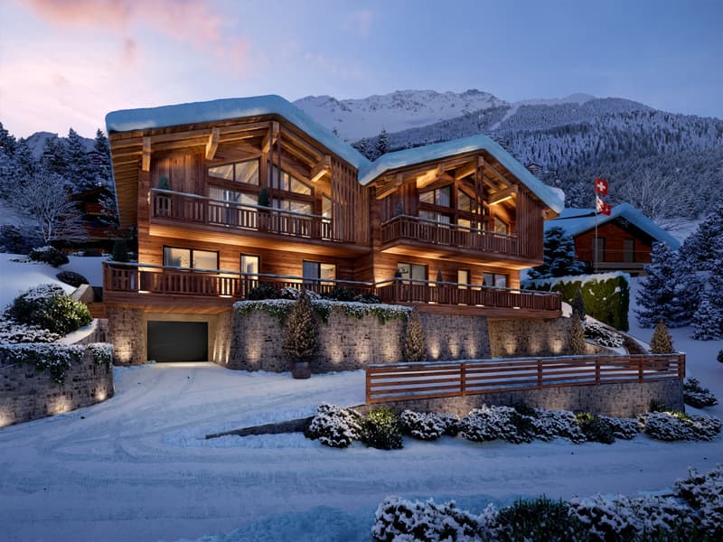 NOUVELLE PROMOTION-Chalet Gemini 1308-01 - 5,5 pièces (1)