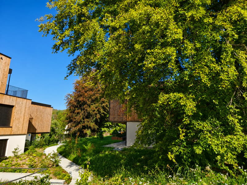 Une visite s'impose ! Dernier lot disponible ! Duplex neuf dans une oasis de verdure à deux pas du M2 (1)