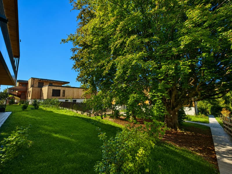 Une visite s'impose ! Dernier lot disponible ! Duplex neuf dans une oasis de verdure à deux pas du M2 (13)