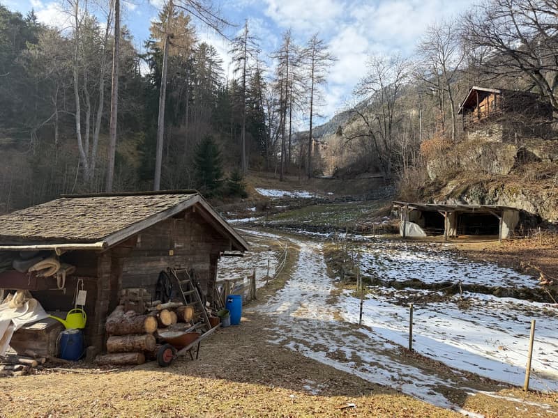 Small shed with firewood and tools, snowy path leading to main residence.