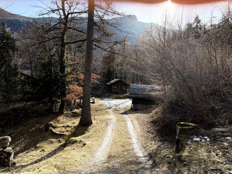 dirt road, house, trees, mountains