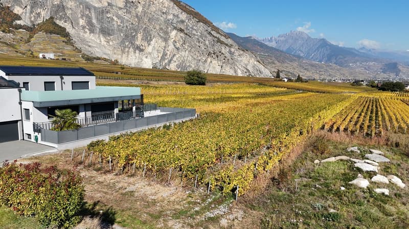 Dernière opportunité – Villa 4.5 pièces neuve à St-Pierre-de-Clages (8)