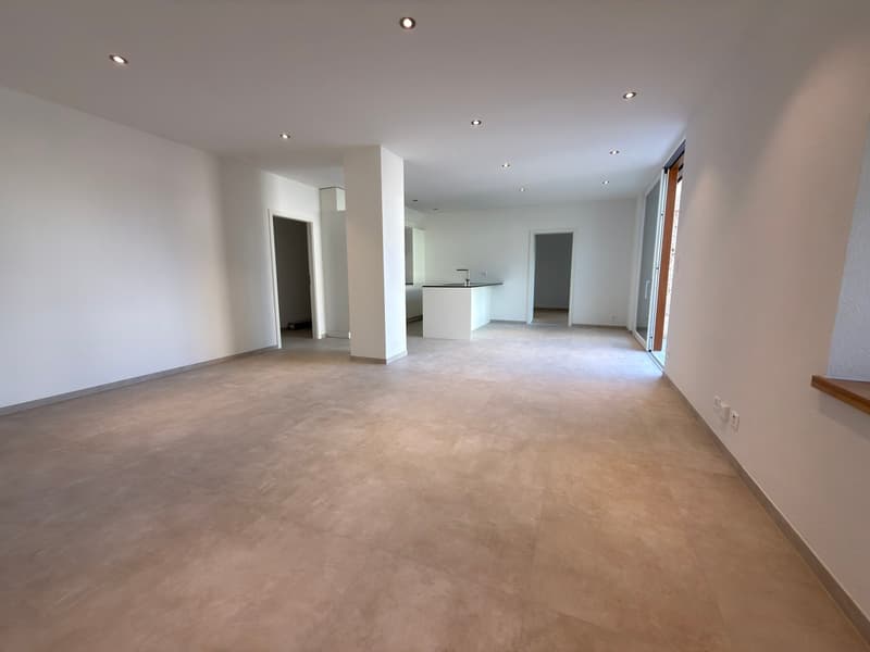 Appartamento nuovo di 4.5 locali a piano terra con terrazza privata (4)