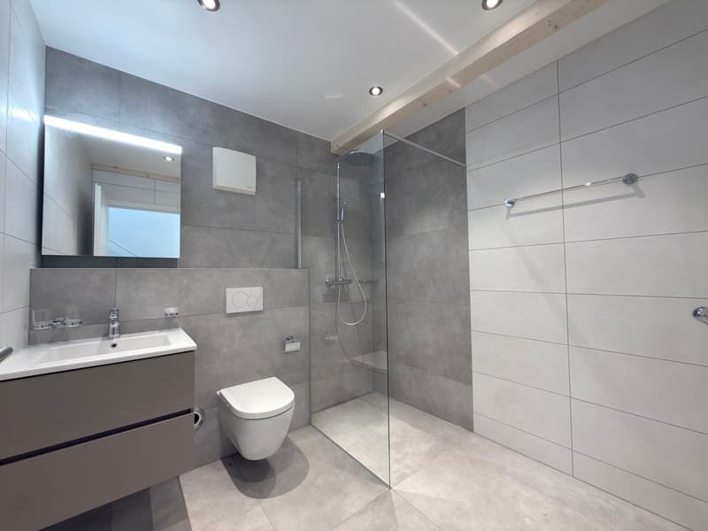 Neues 4.5-Zimmer-Triplex mit Charme im Herzen von Penthalaz (4)