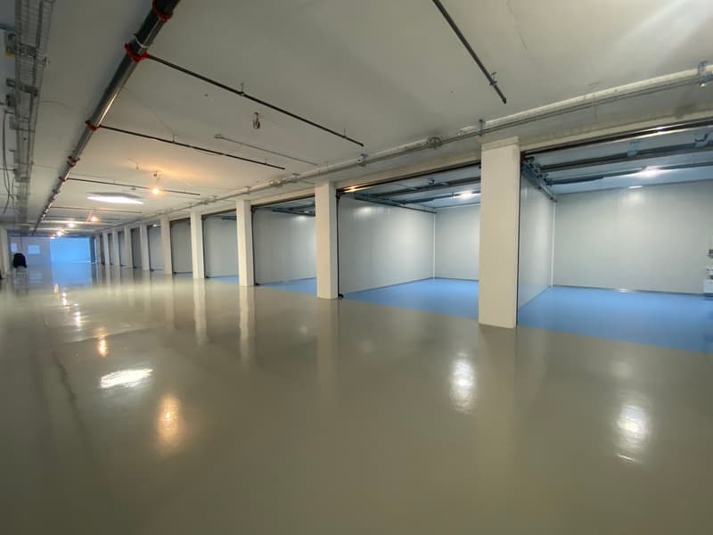 Investitionschance Box/Warenlager, sicher vermietet (1)