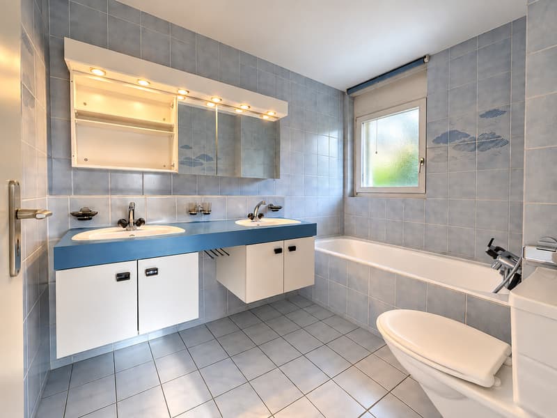 Attique exclusif avec terrasse plein sud (8)