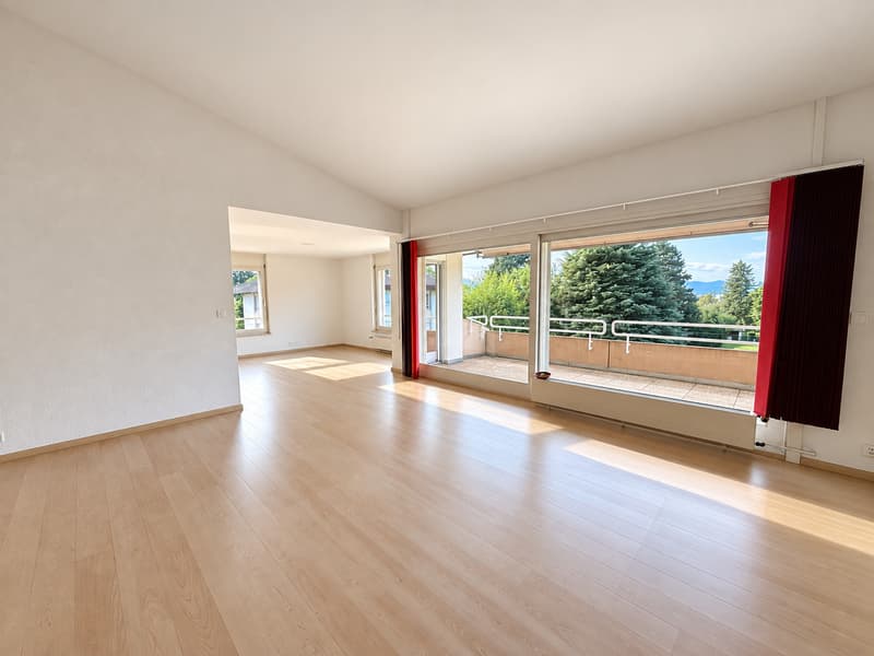 Attique exclusif avec terrasse plein sud (2)