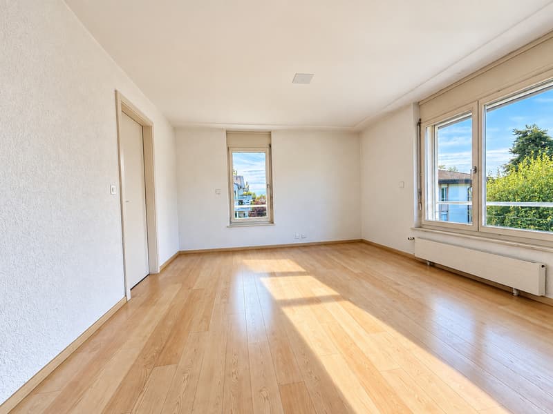 Attique exclusif avec terrasse plein sud (4)