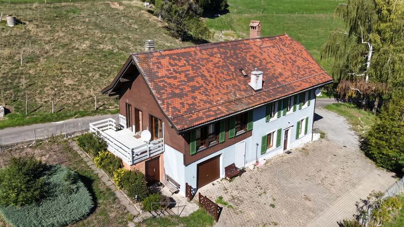 Maison individuelle villageoise de caractère - Puidoux (1)