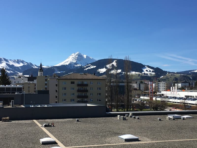 For rent in Bulle - 3.5-room apartment (3)