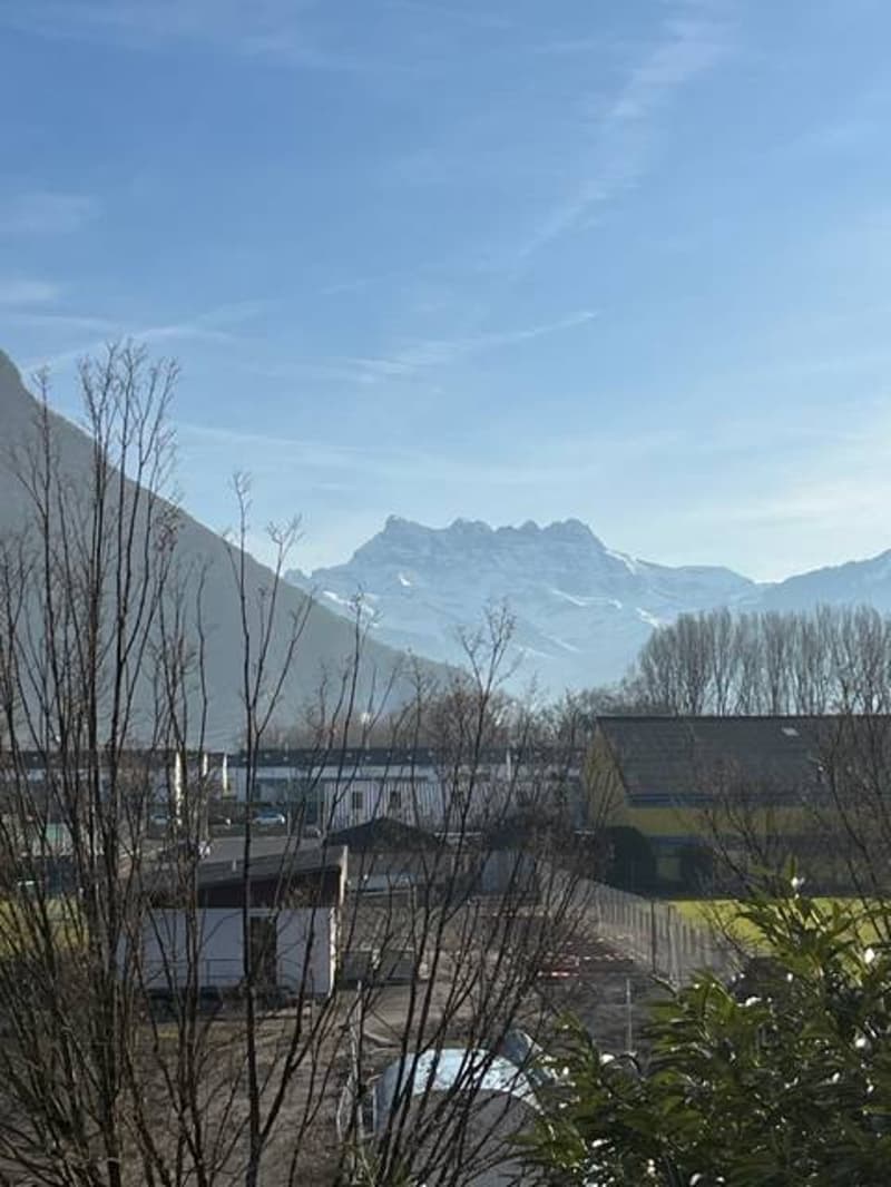 Bel appartement de 3.5 vue dégagée sur les Alpes (1)