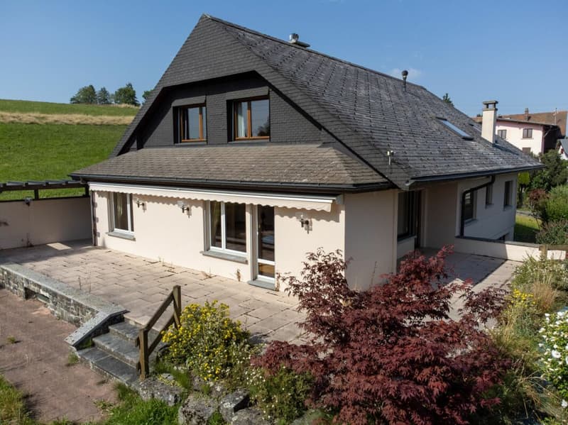 Individual villa (3)