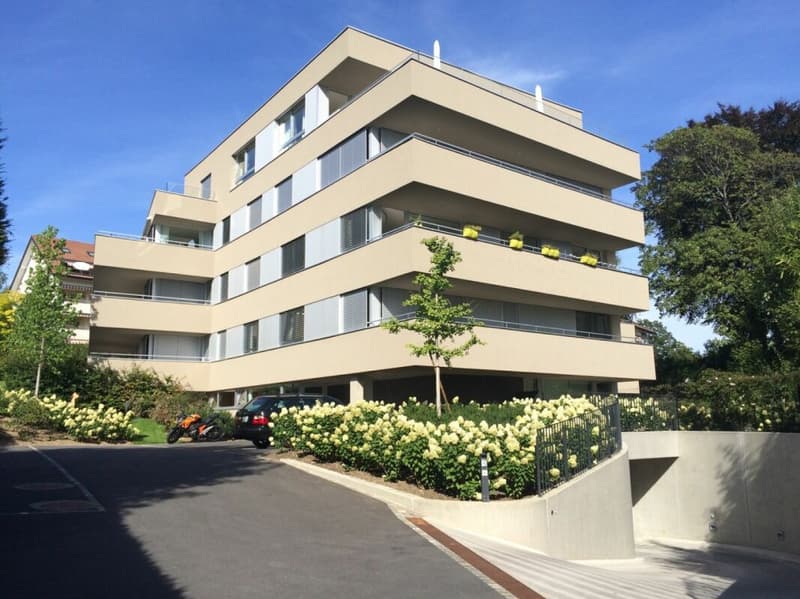 Appartement de 5,5 pièces - lot 7 (2)