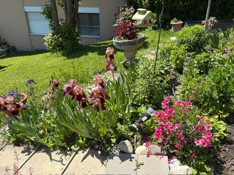 Wohnung mit 4.5 Zimmern (13)