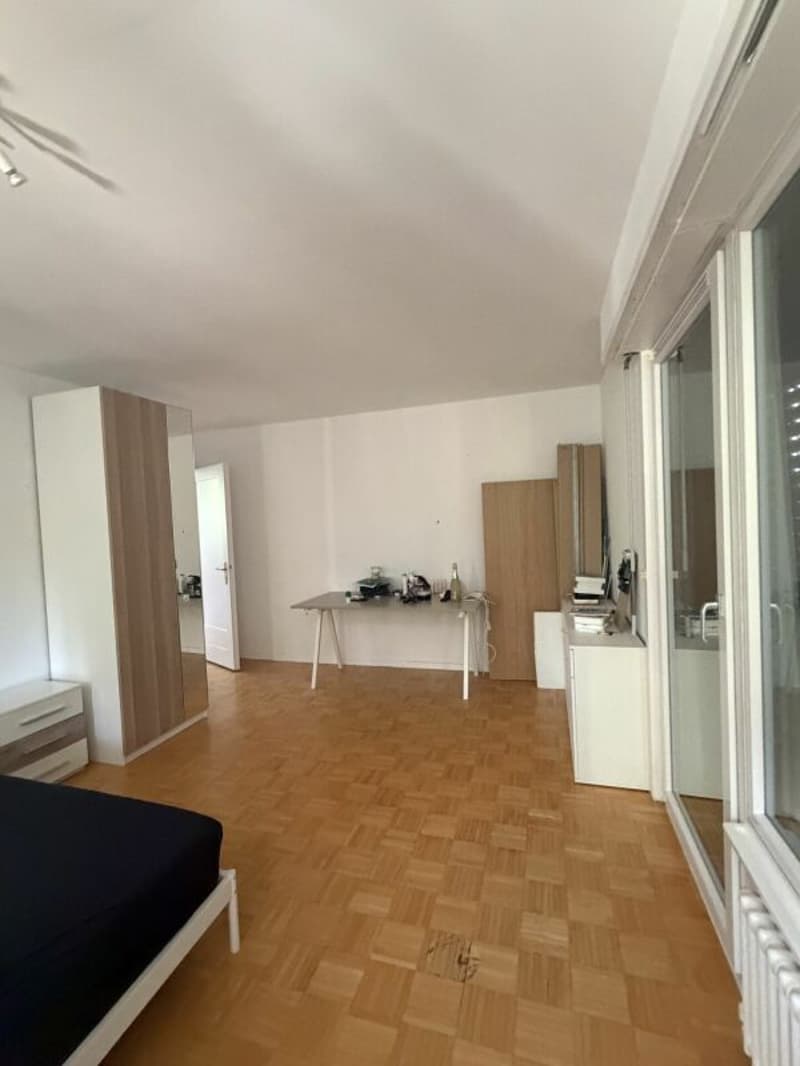 Appartamento di 3,5 locali al pianterreno (5)