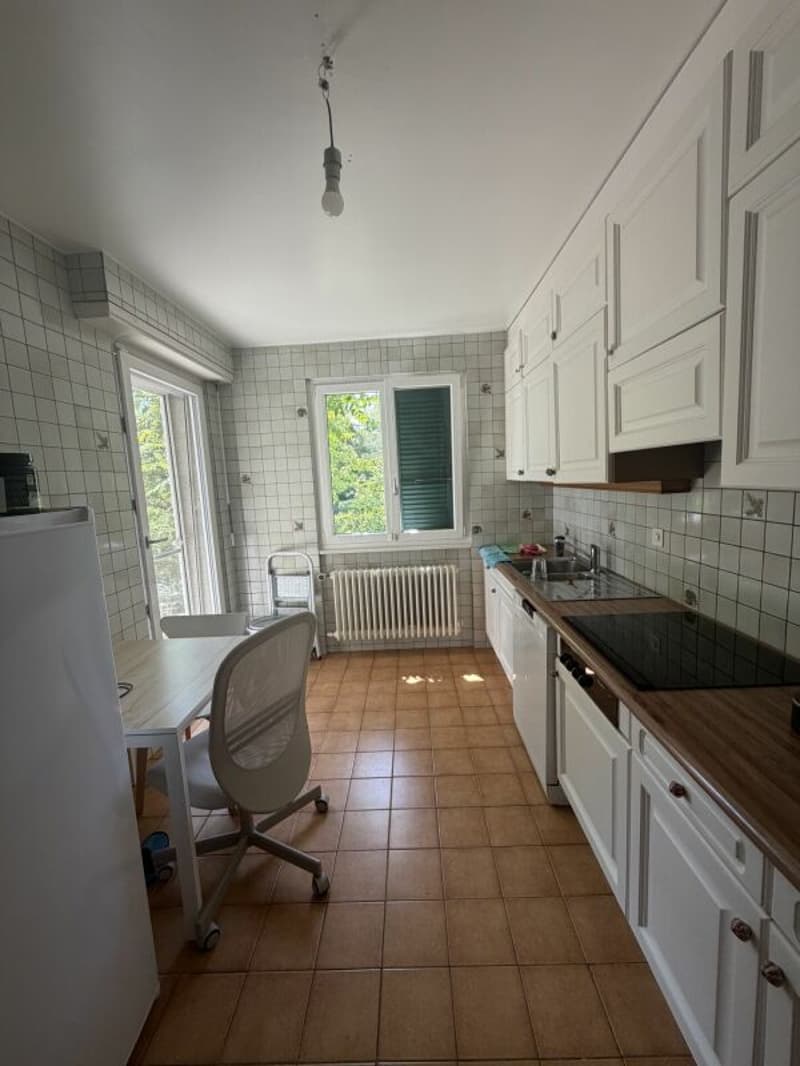 Appartamento di 3,5 locali al pianterreno (3)