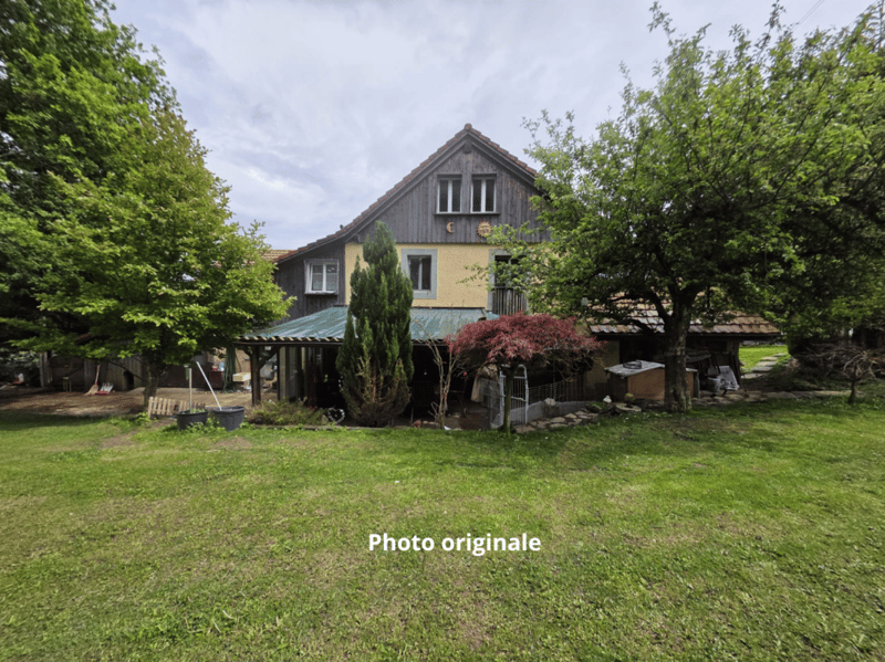 Character house with workshop, double garage and numerous parking spaces (2)