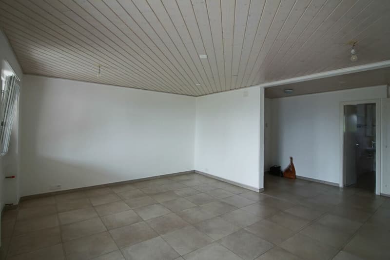 Wohnung mit 4.5 Zimmern (3)