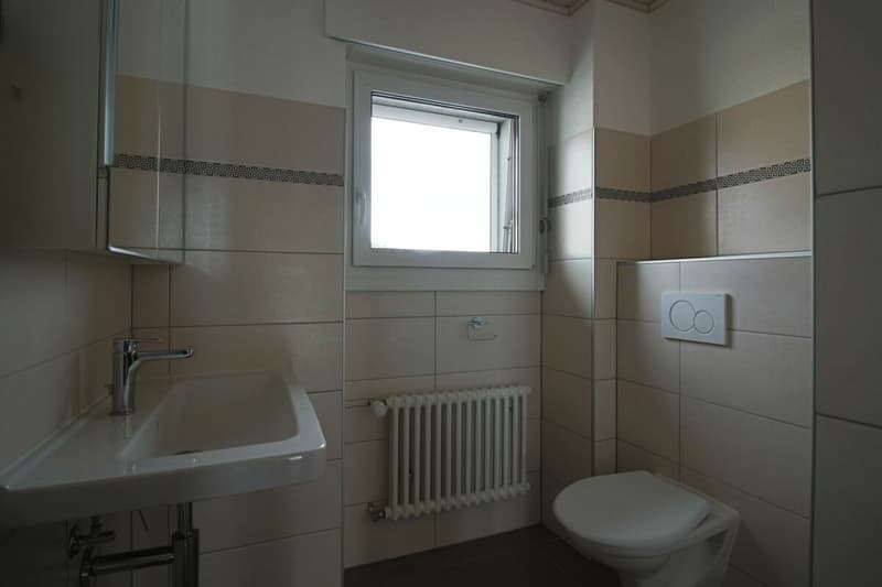 Wohnung mit 4.5 Zimmern (8)