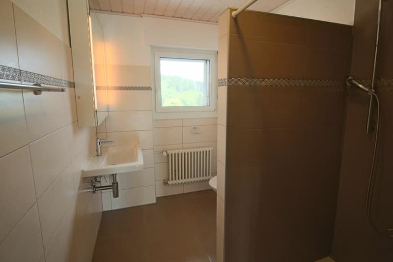 Wohnung mit 4.5 Zimmern (9)