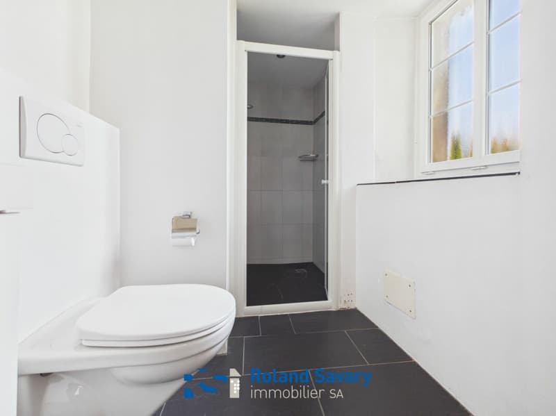 Moudon - 2.5 Zimmer Wohnung (6)