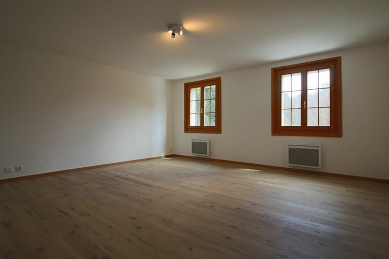 Assi - appartamento 3,5 locali (6)