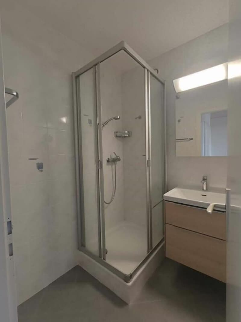 Ormeaux - 3,5-Zimmer-Wohnung (9)