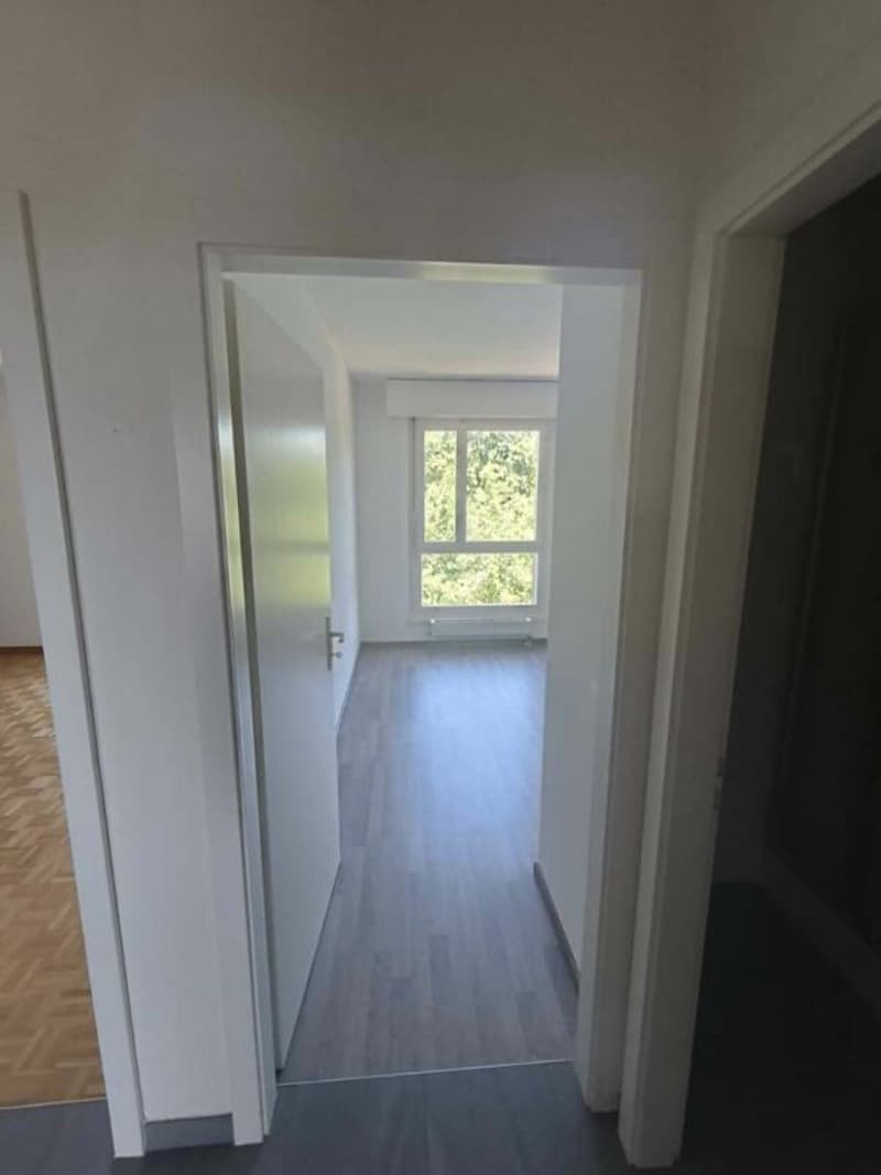 Ormeaux - 3,5-Zimmer-Wohnung (5)