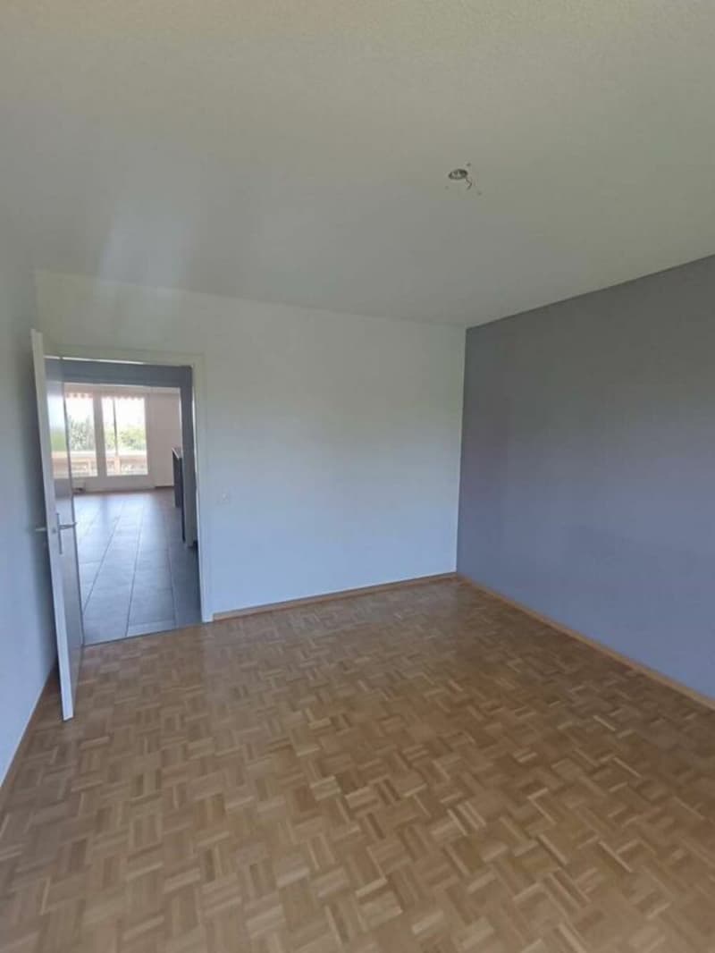 Ormeaux - Appartement de 3.5 pièces (7)