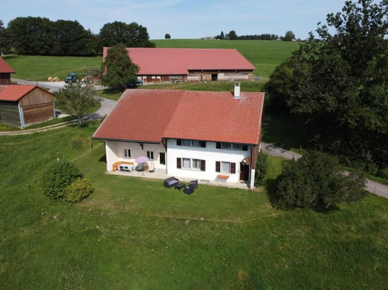 Grande maison (ancienne ferme) de 7 pièces avec vue sur le Moléson - Fiaugères (14)