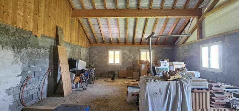 Maison (ancienne ferme) avec vue sur le Moléson - Fiaugères (7)