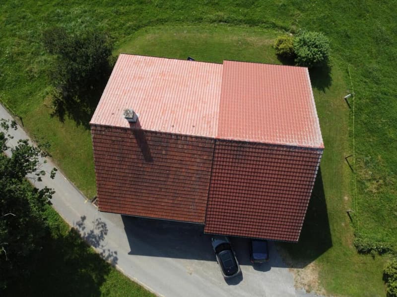 Maison (ancienne ferme) avec vue sur le Moléson - Fiaugères (16)