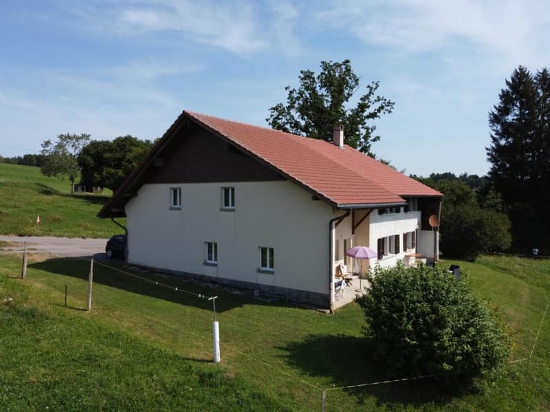Maison (ancienne ferme) avec vue sur le Moléson - Fiaugères (2)