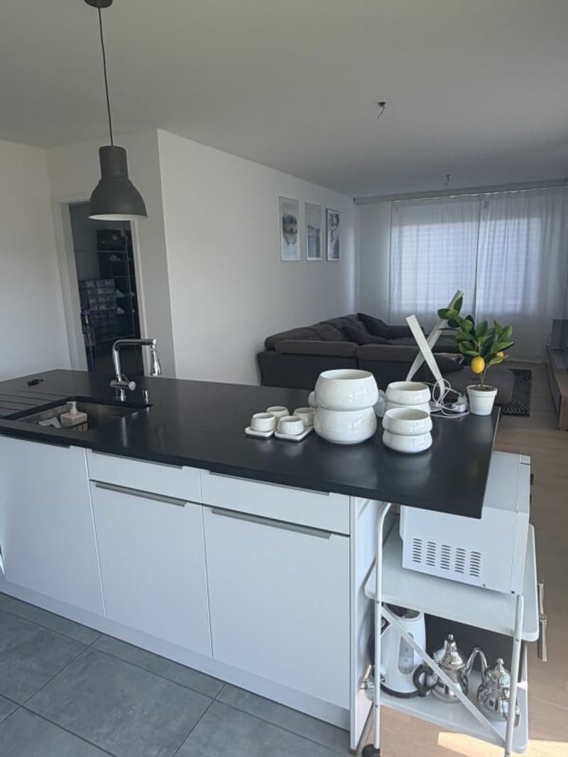 Appartement de 3,5 pièces (2)
